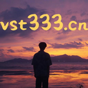 vst333.cn